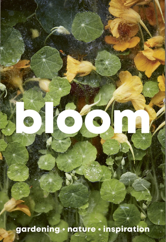 bloom magazine issue 15